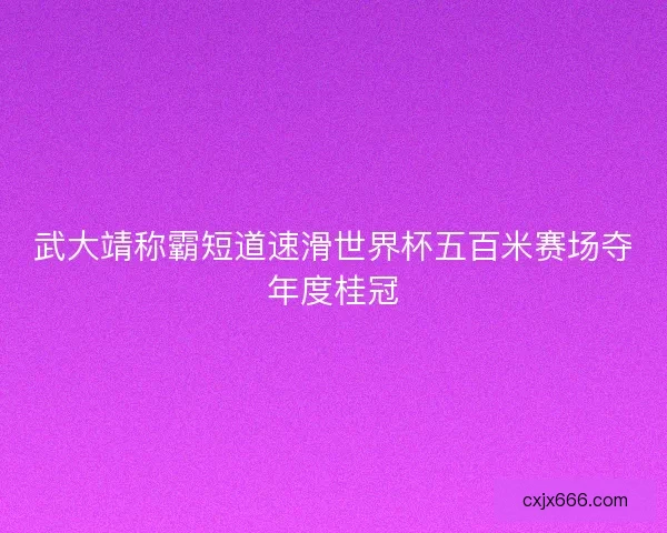 武大靖称霸短道速滑世界杯五百米赛场夺年度桂冠